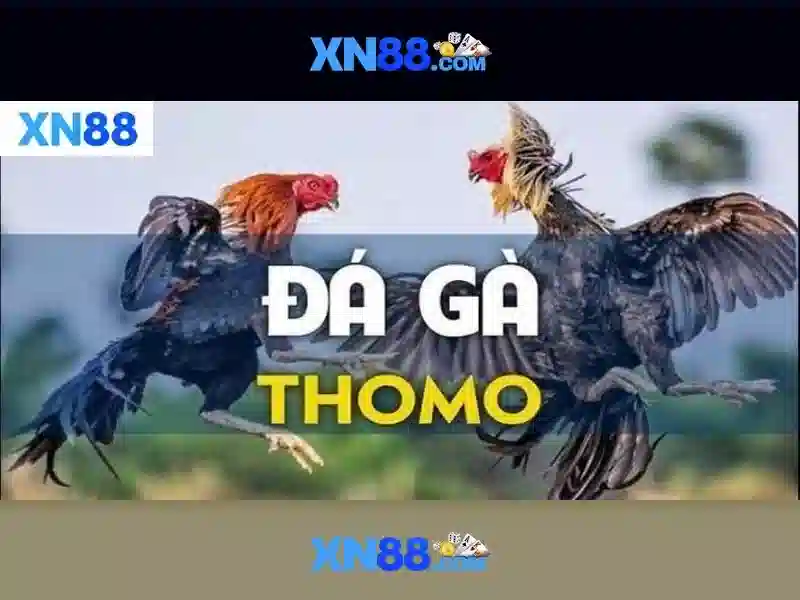 💎kèo nhà cái man city tối nay💎