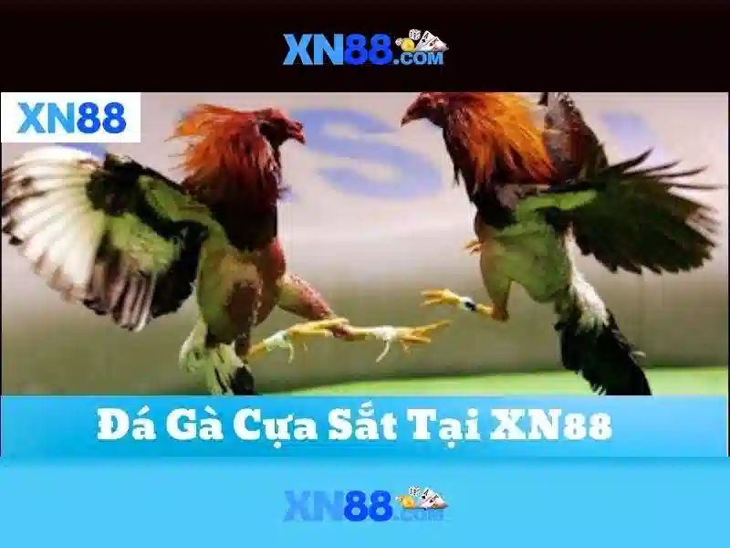 💎bắt đánh bạc ở cần thơ💎