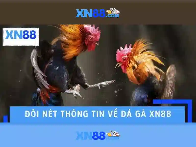 💎quy luật cá cược bóng đá💎