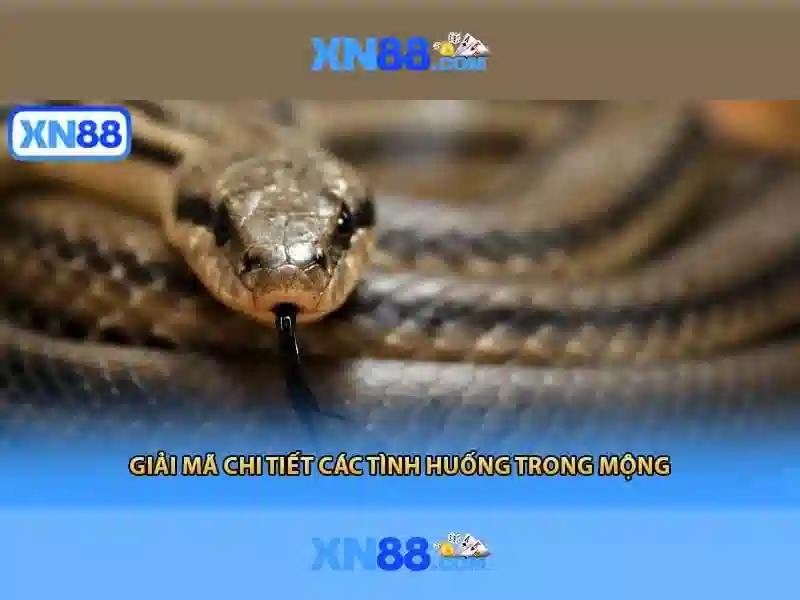 💎nhà cái uy tín 51.216💎