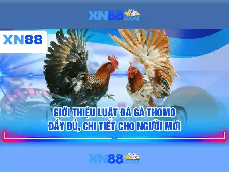 💎cải tạo nhà cũ nát💎
