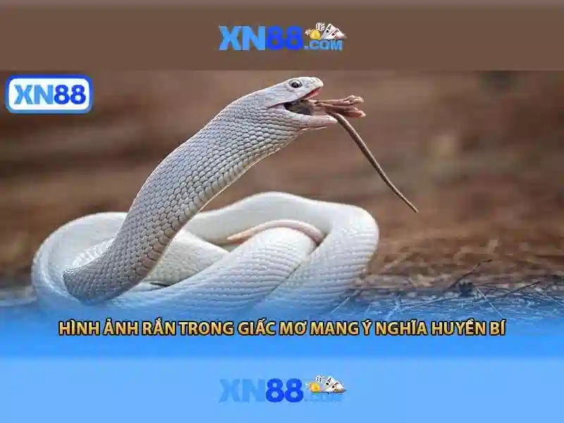 💎kem đánh răng bạc hà thái lan💎