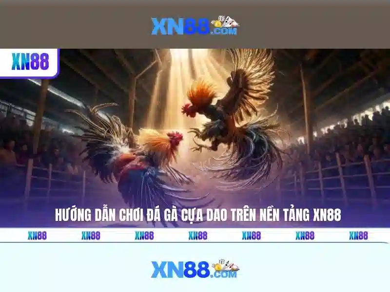 💎nha cái 88💎