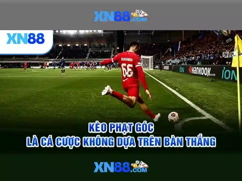 💎logo hb88 slot💎