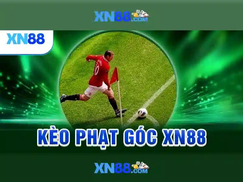 💎tỷ lệ cá cược vòng loại world cup châu âu💎