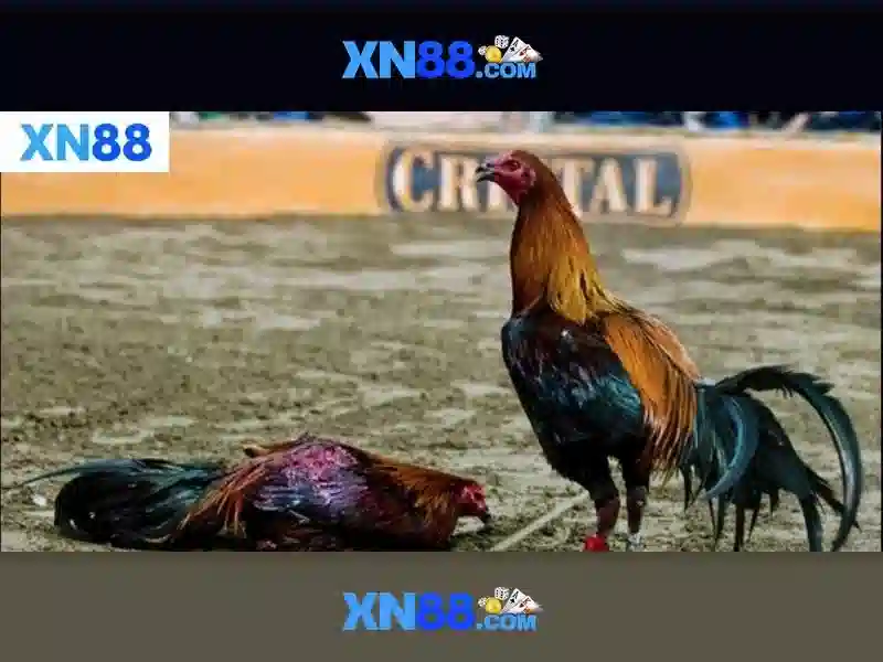 💎ba lan – argentina kèo nhà cái💎