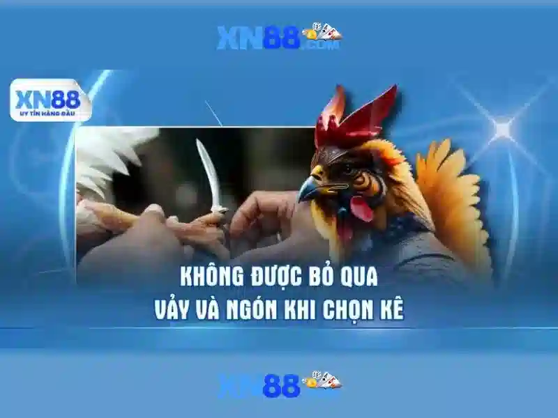 💎nhà cái uy tin ac💎