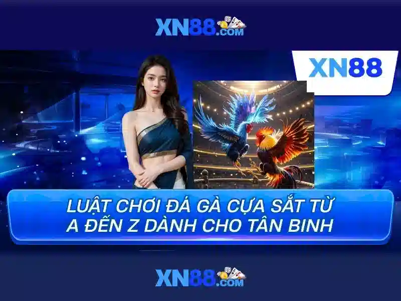 💎nhà cái bóng 88.net💎