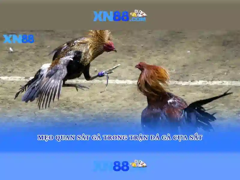 💎nhà cái trực tiếp new88💎