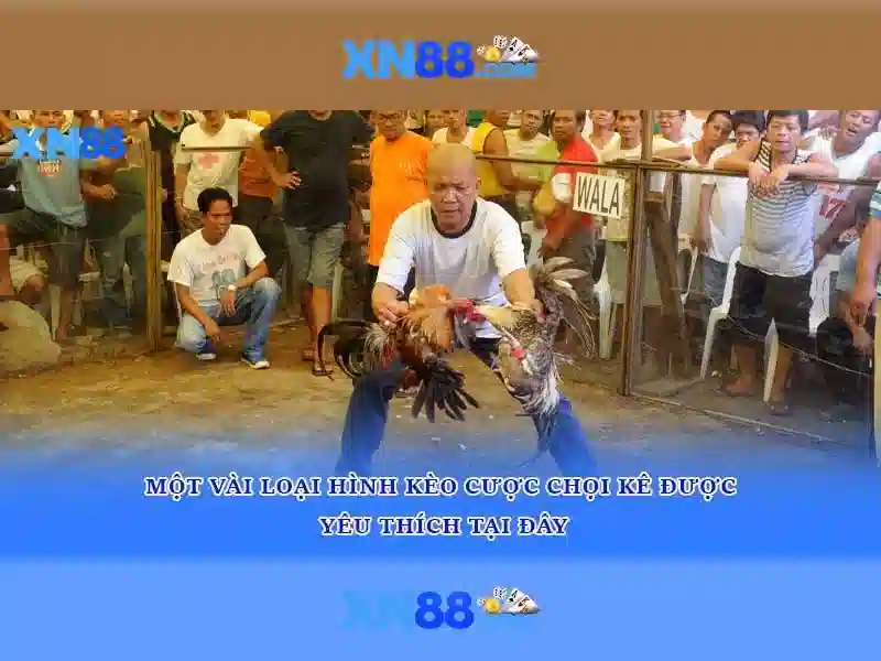 💎sâm núi dành bắc giang💎
