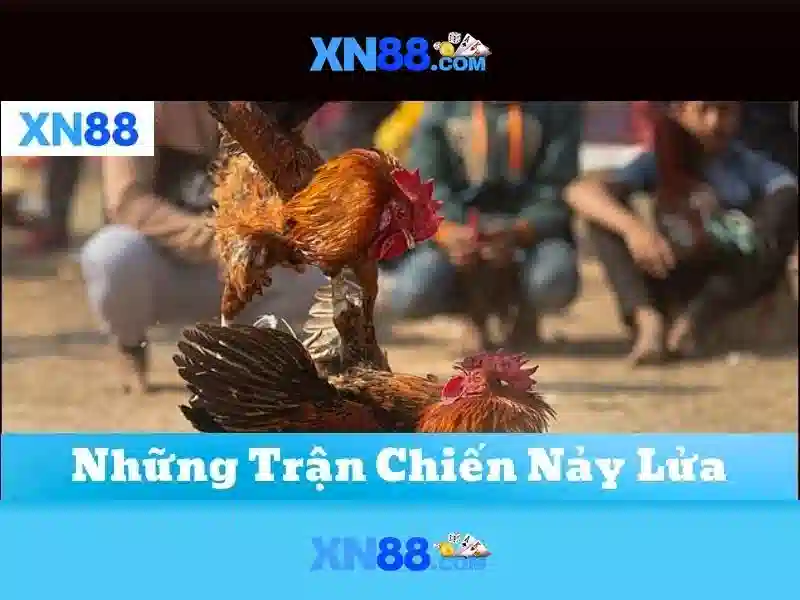 💎lập trình game nổ hũ💎