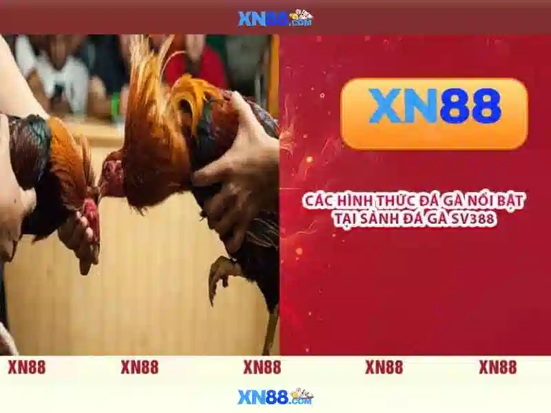 💎slot machine review💎