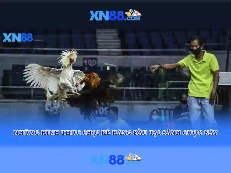 💎kc99 nhà cái💎