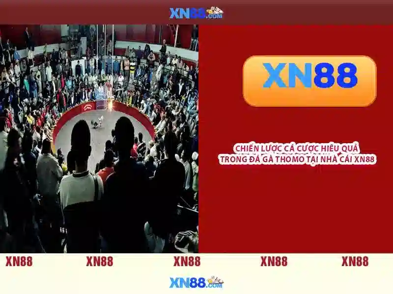 💎nhà xe quốc cường lý nhân lào cai💎