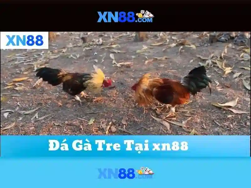 💎777+xn88+casino+login💎