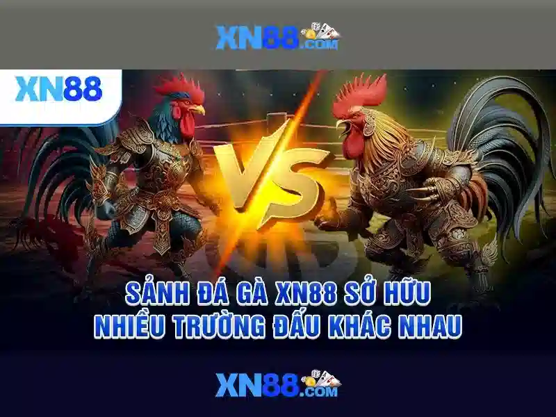 💎kèo nhà cái fulham💎