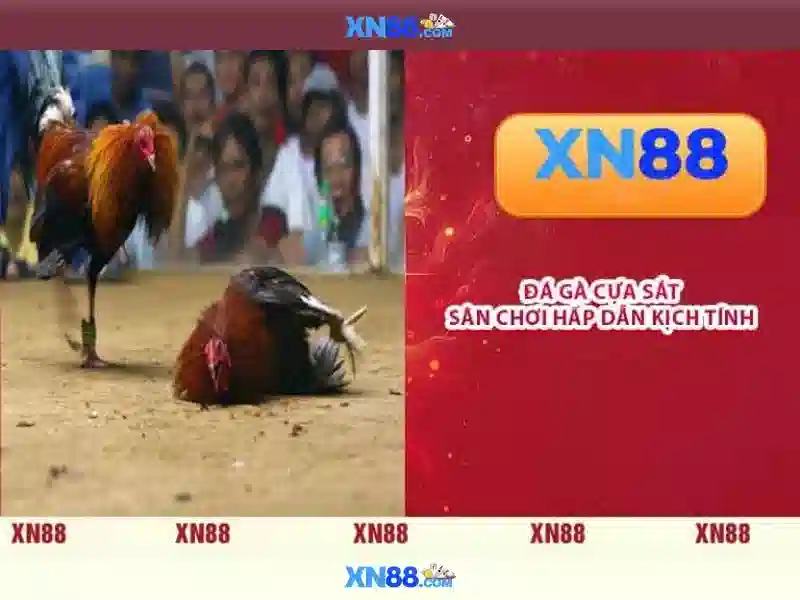 💎nhận định kèo nha cái💎