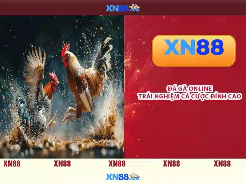 💎nhà cái số 1 top nhà cái💎