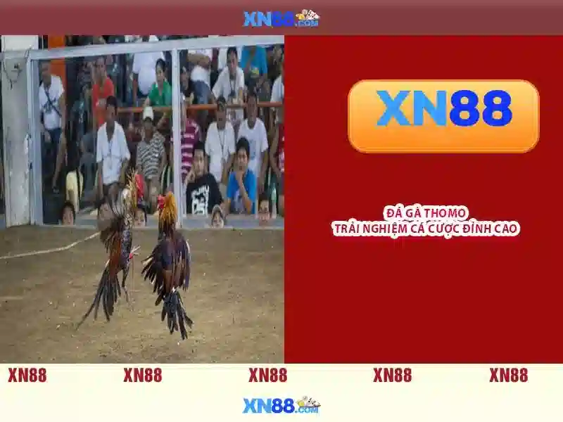 💎số định danh cá nhân có phải là số căn cước💎