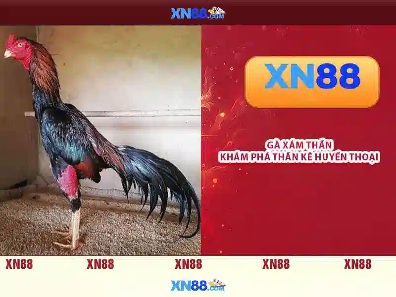 💎học viện cá cược💎