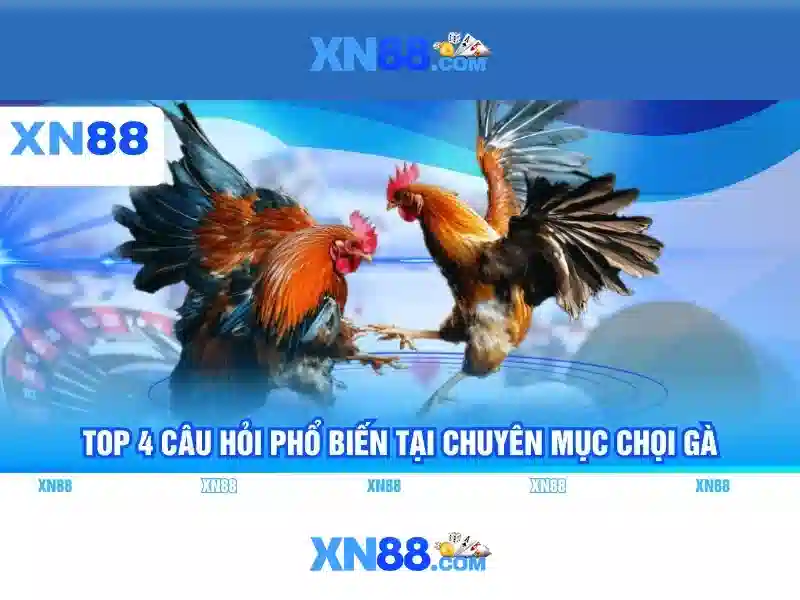💎nhà+cái+tặng+100k+miễn+phí💎