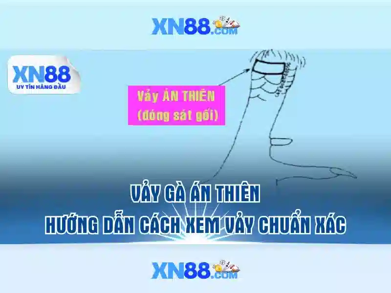 💎trang cá cược bóng đá hợp pháp💎
