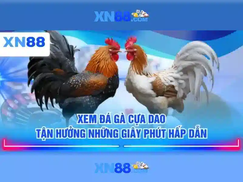 💎ti le ti so keo nha cai💎