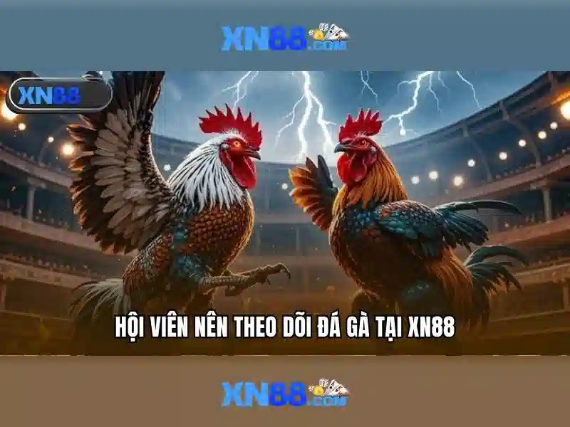  nhà cái uy tín - XN88