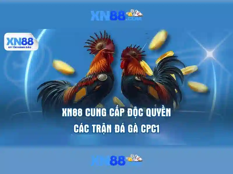  dịch vụ - XN88