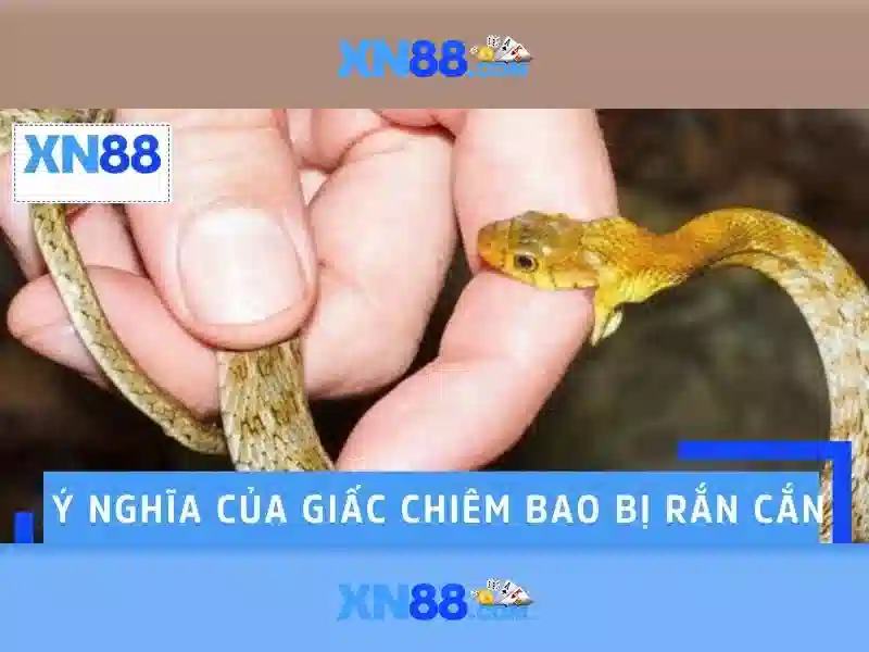 💎nha cai tang 10usd💎