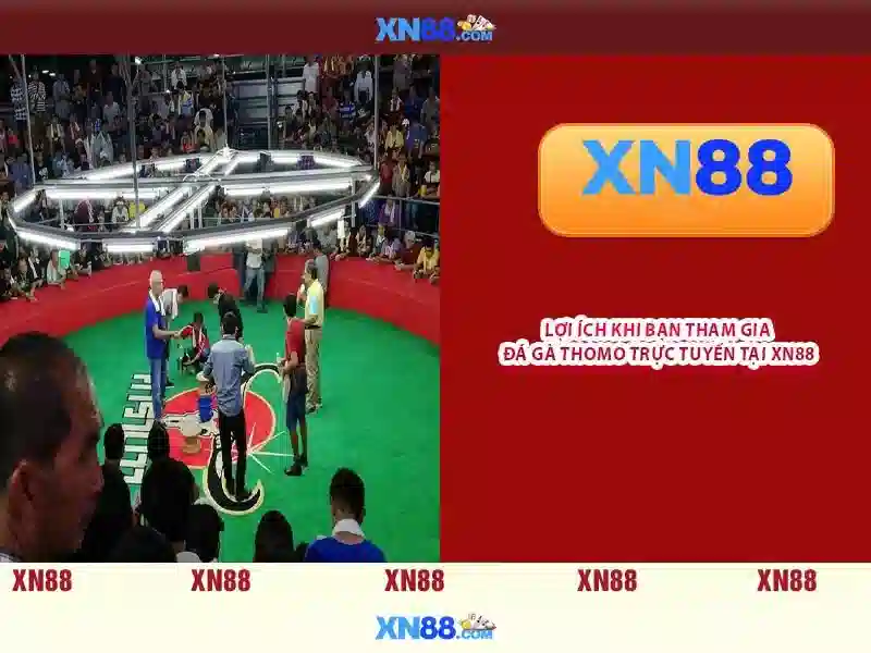 💎casino sin88💎 - sin88 mxx - sin88 news