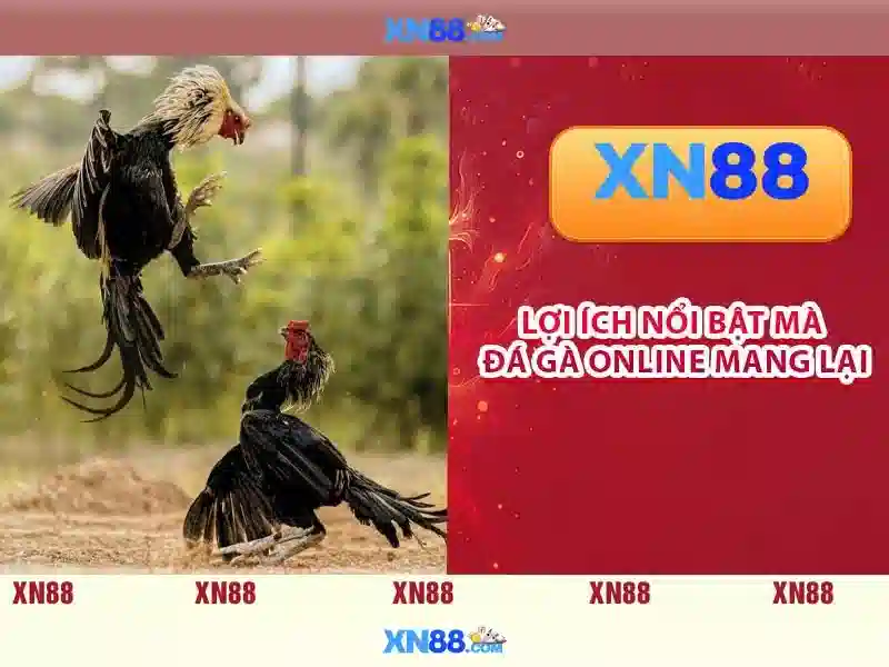 💎kèo nhà cái bongdatv💎