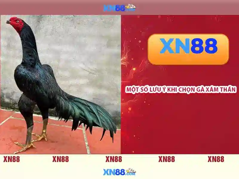 💎cách hủy tất cả gói cước mobifone💎