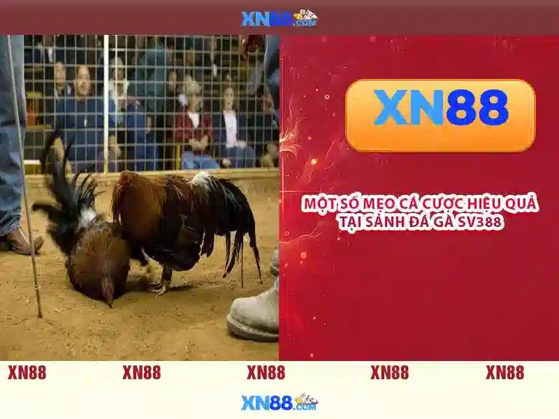 💎slot enhancement maplestory💎