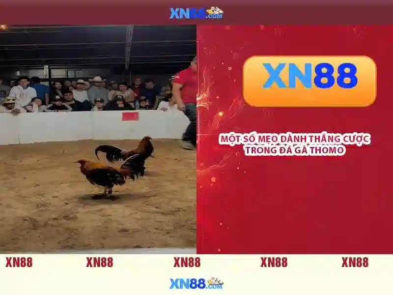  đổi thưởng - XN88