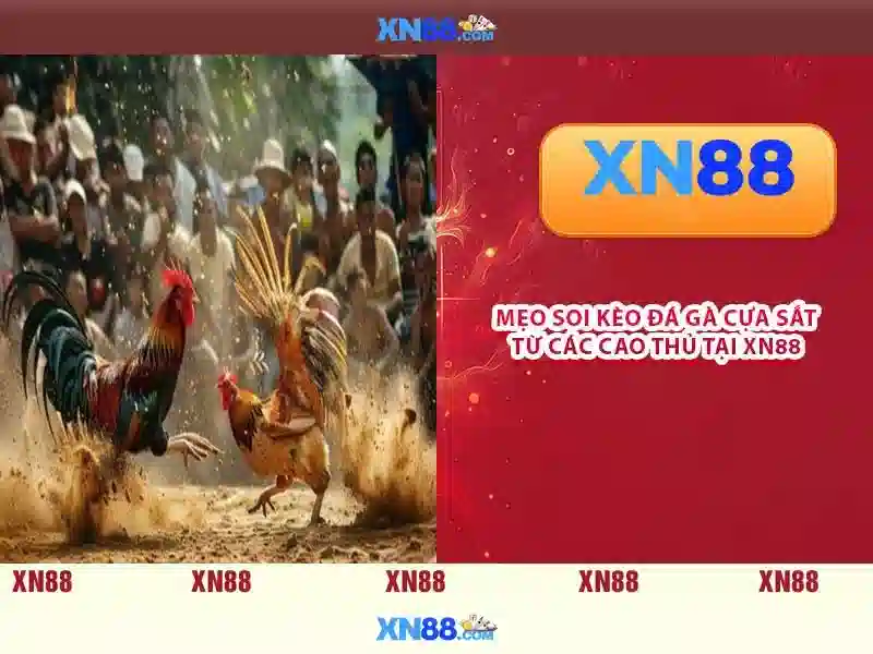 💎all slots game💎