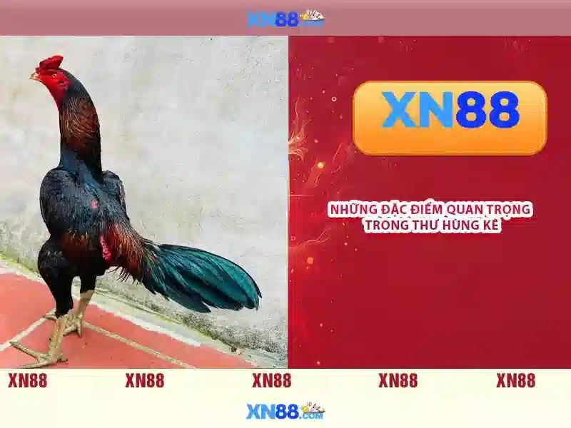 💎88 cá cược💎