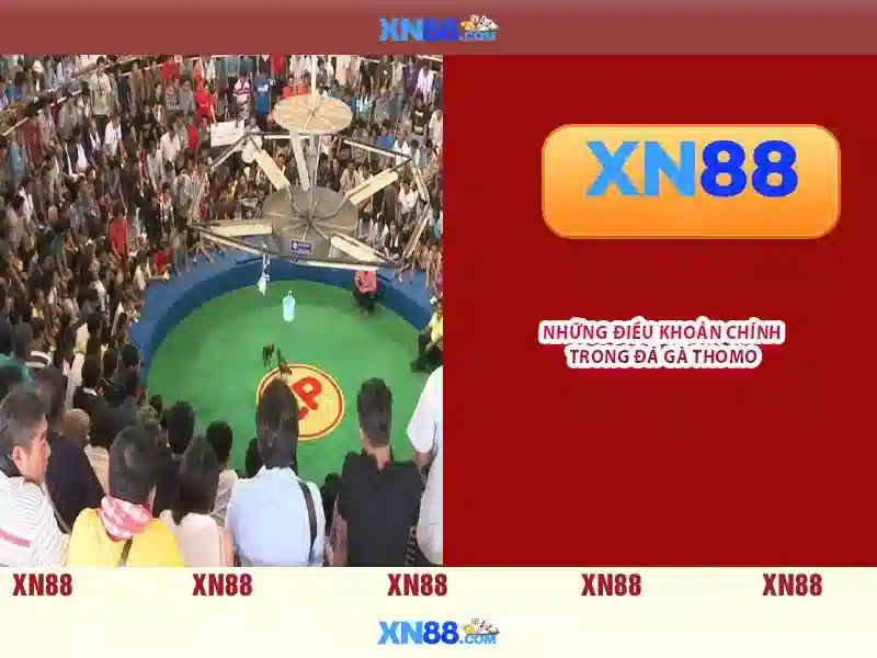 💎online poker💎