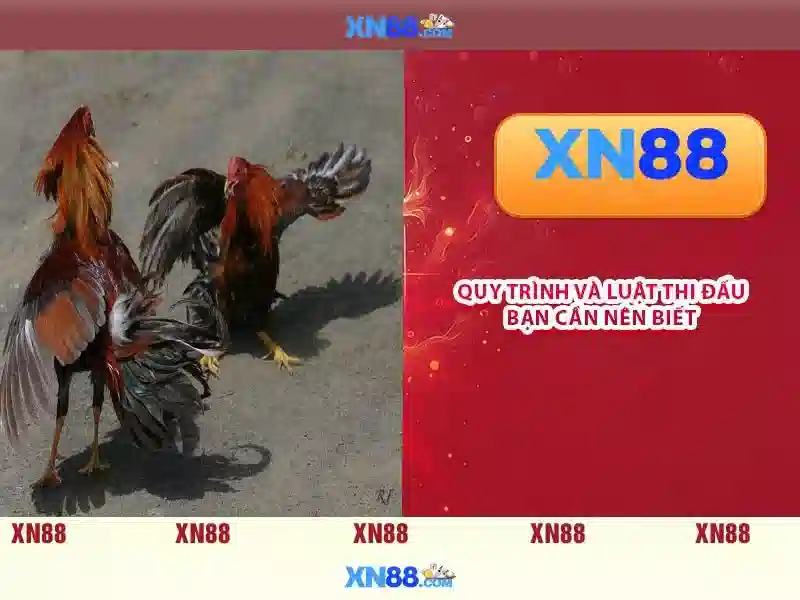 💎cài win 11 tại nhà thủ đức💎