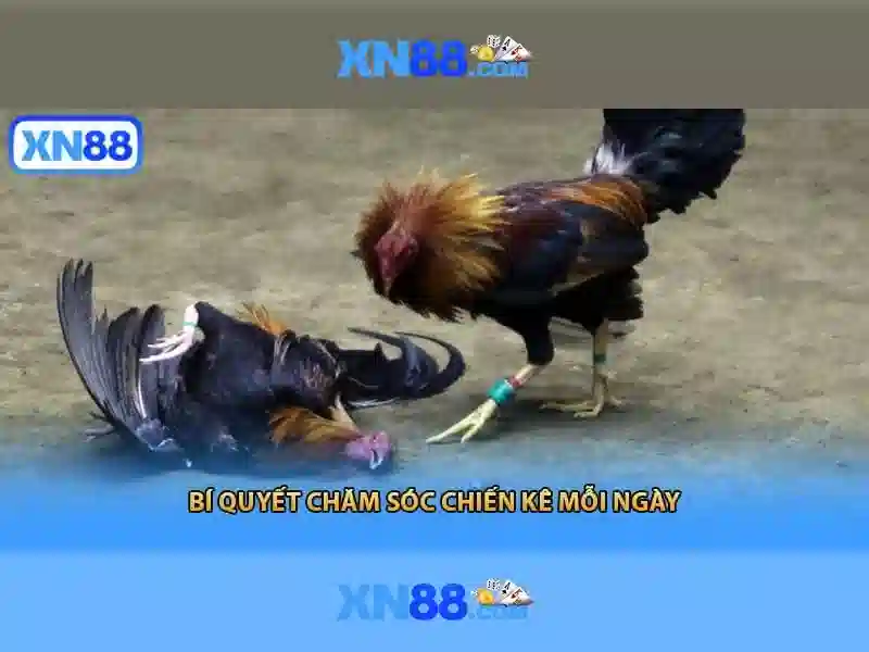 💎link terbaru slot💎