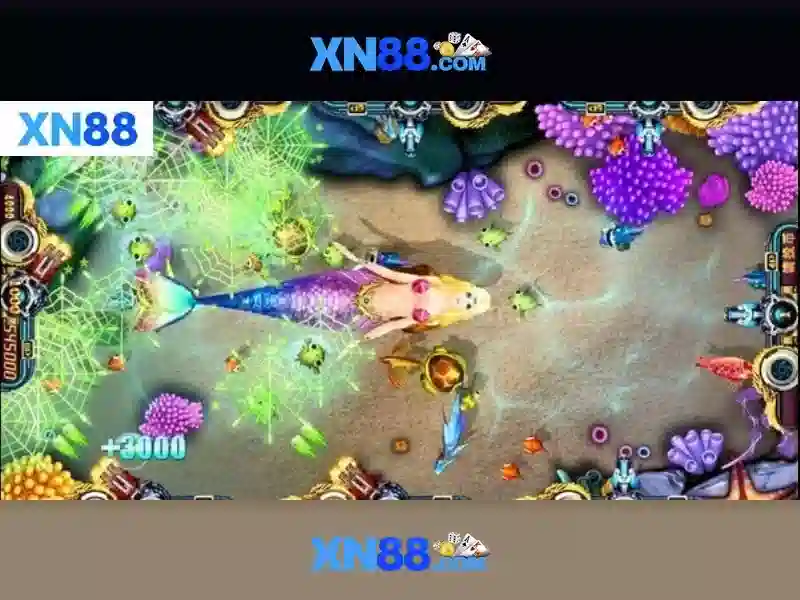 💎cá cược bầu cử💎