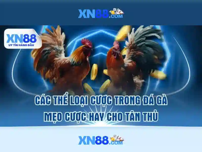 💎300 deposit bonus slots💎