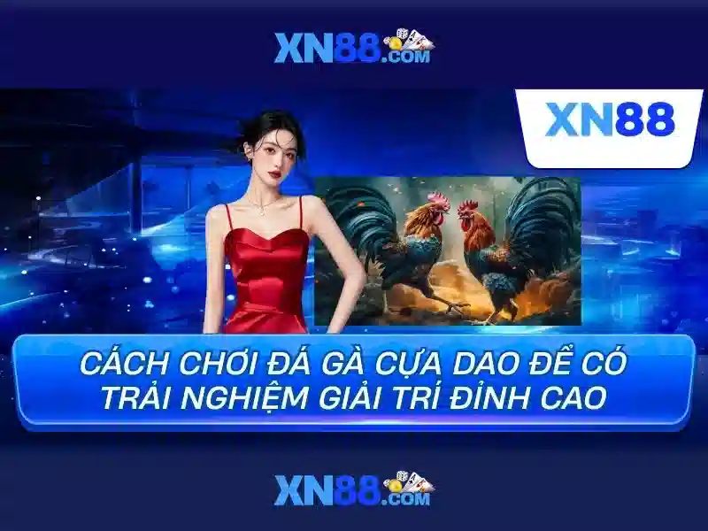 💎nhà cái vando88💎