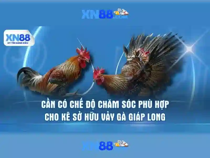 💎xem lai bong da keo nha cai💎