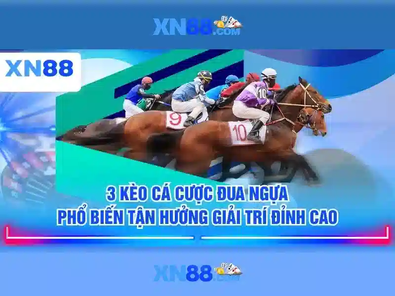 💎nha cai km💎