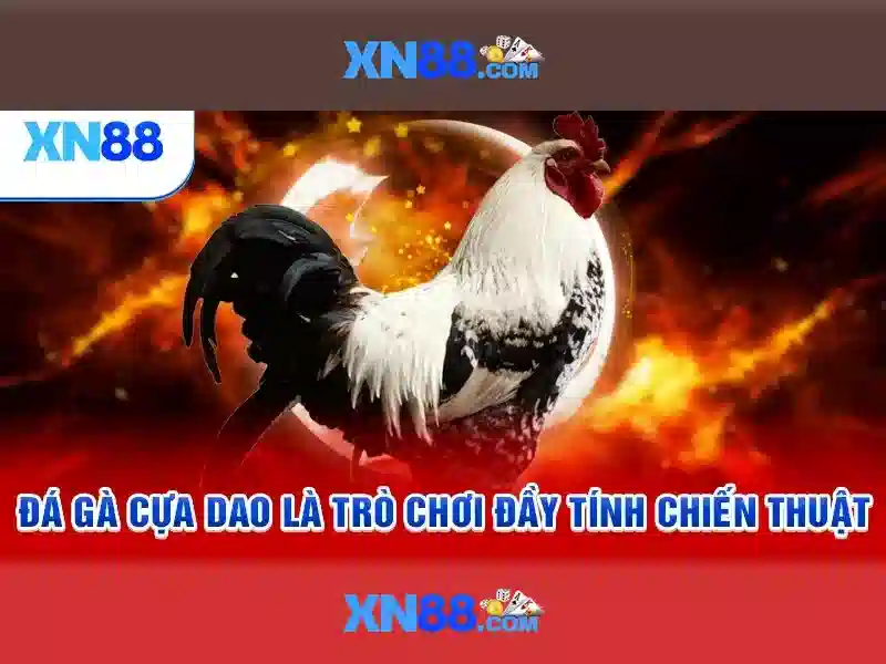 💎trực tiếp bóng đá uruguay kèo nhà cái💎