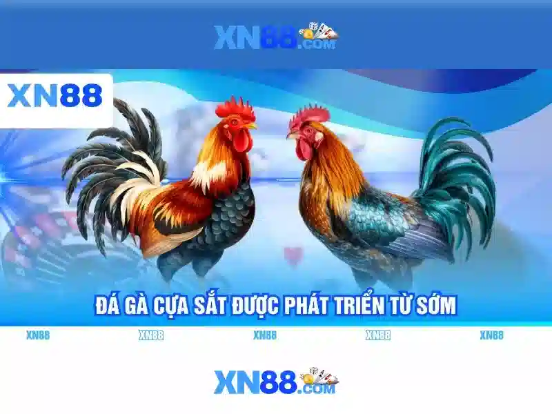 💎ăn thịt sống tây bắc💎