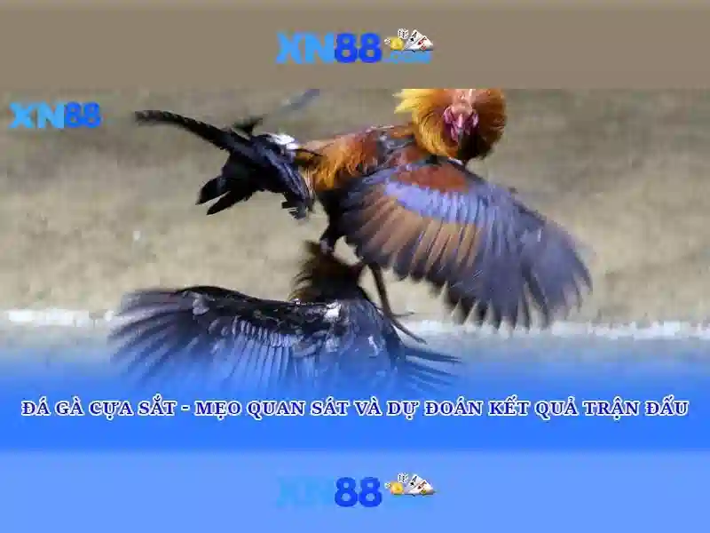 💎kèo cá cược vòng loại euro💎