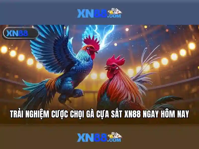  2026 - XN88