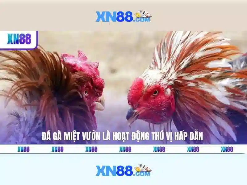 💎nha cai sky88💎 - nha cai sky88